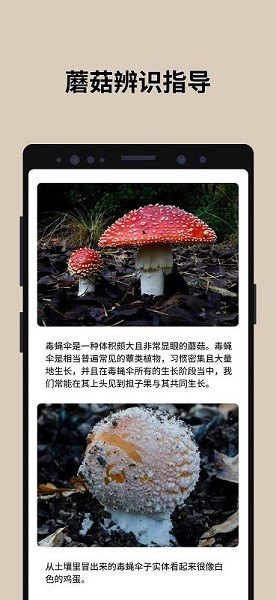 蘑菇识别扫一扫app  v2.9.17图3