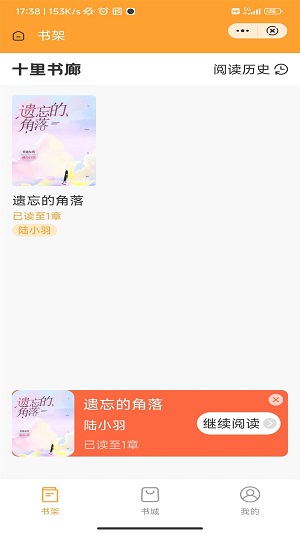 十里书廊小说我还年轻作者小叶  v1.0图1