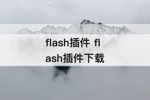 flash插件 flash插件下载
