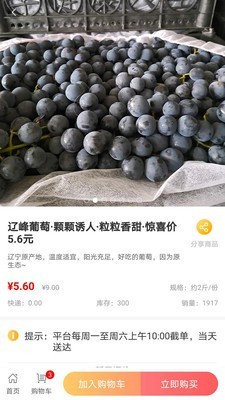 量子美食  v2.5.4图1