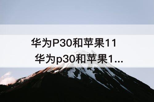 华为P30和苹果11 华为p30和苹果11屏幕一样大吗